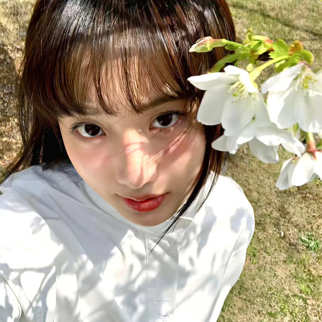 长安的荔枝
